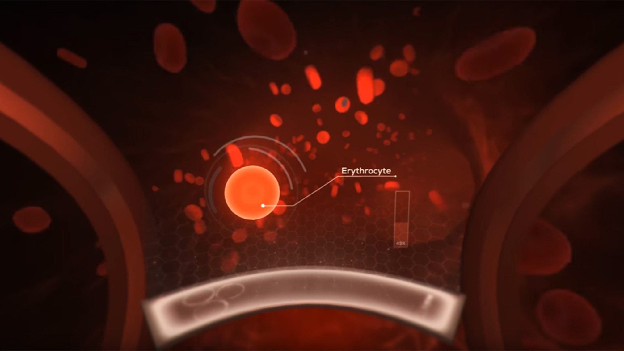 Virtuelle Fahrt durch unser Blutsystem (Foto: Screenshot The Body VR) image