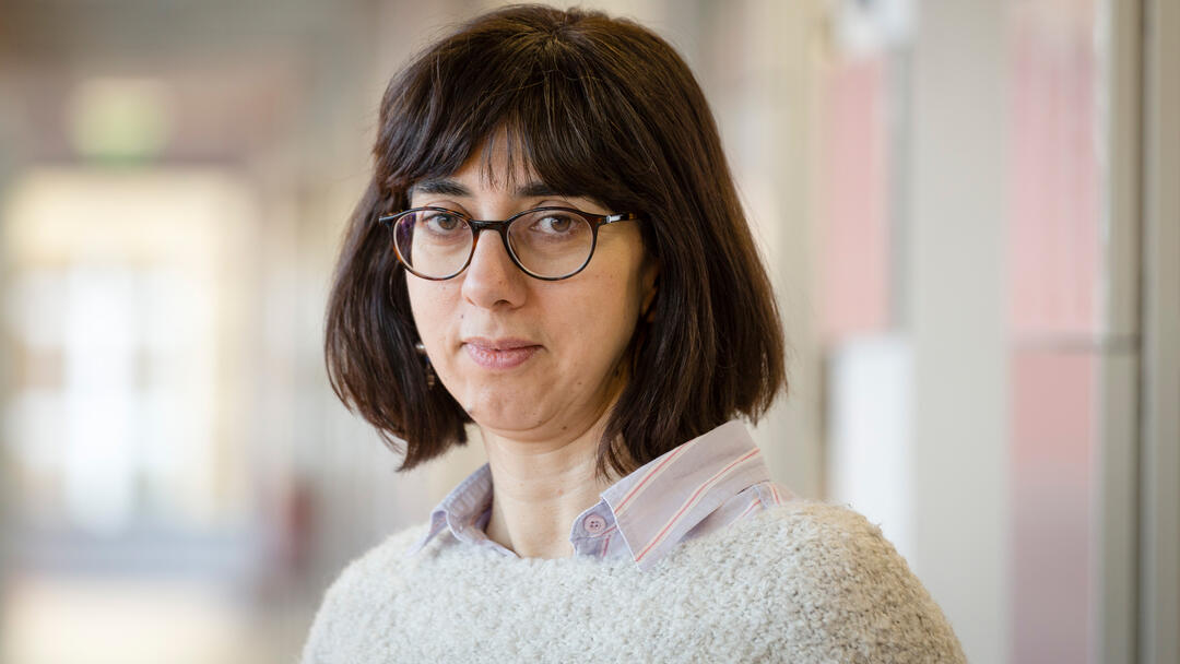 Pınar Şenoğuz