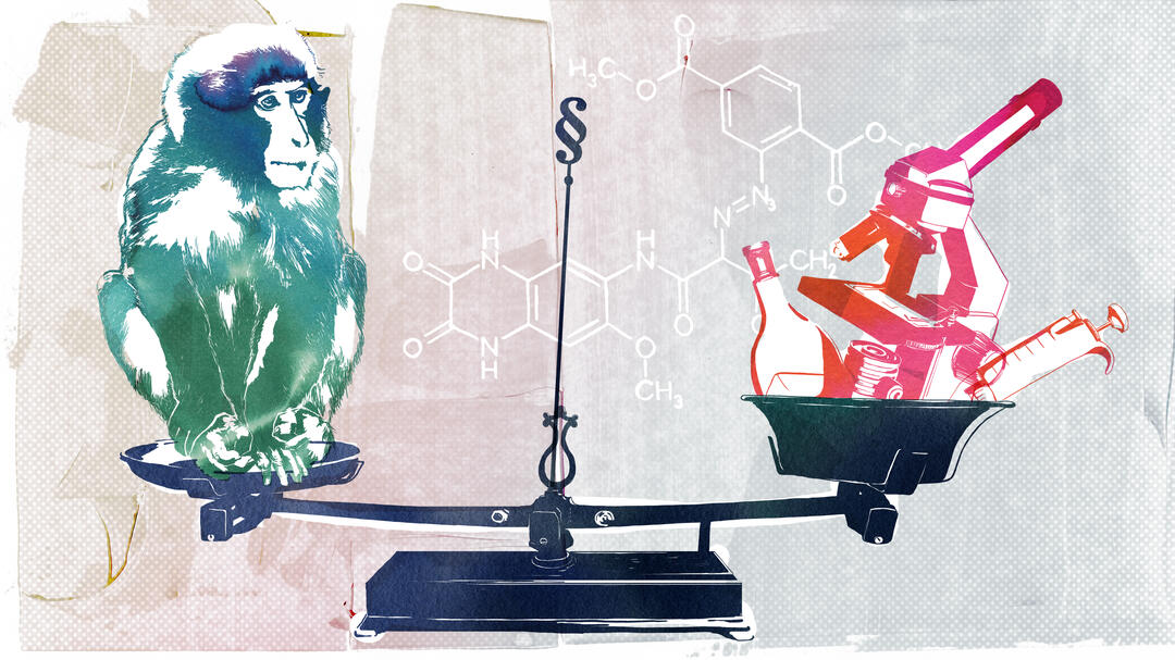 Illustration: Irene Sackmann image