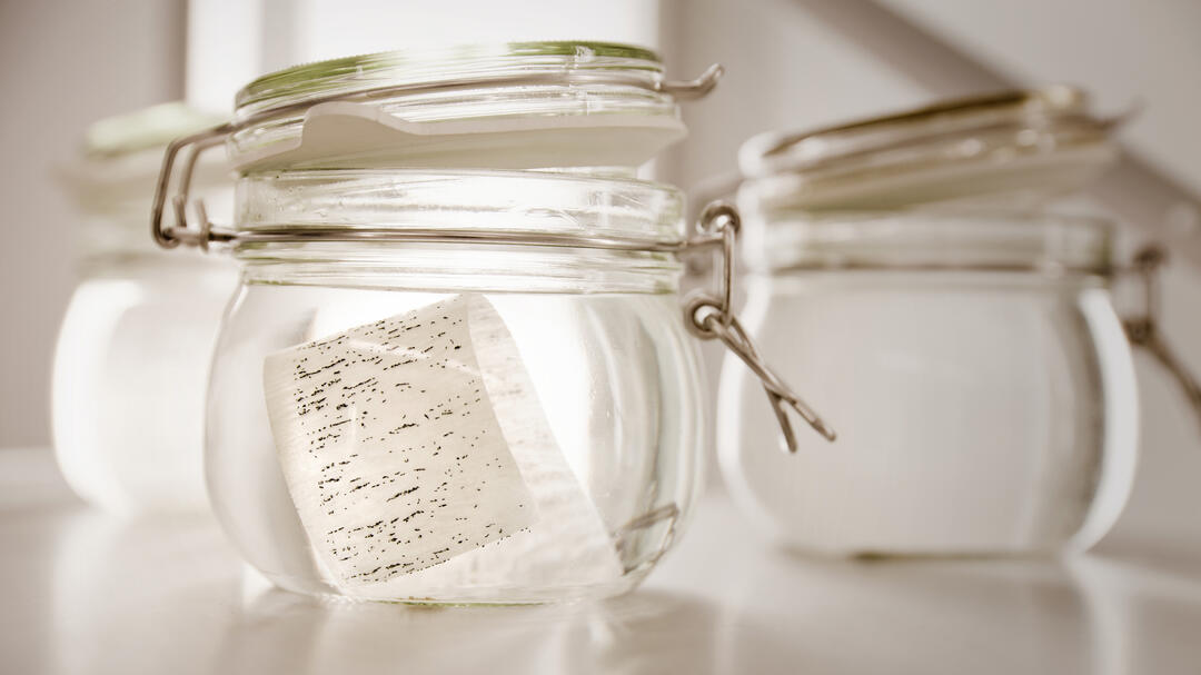 wassergefüllte Gläser, in denen Tigermückenlarven schlüpfen (Foto: Angelika Zinzow) image