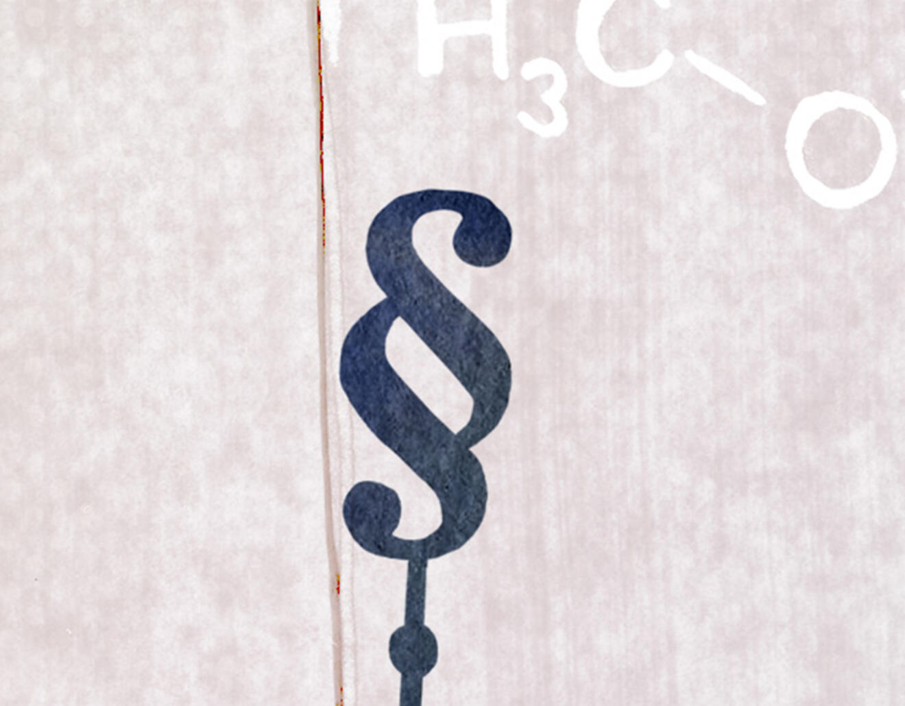 Illustration: Irene Sackmann image
