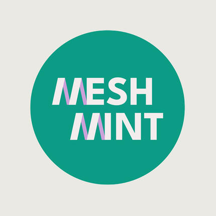 Mesh_MINT (Logo)