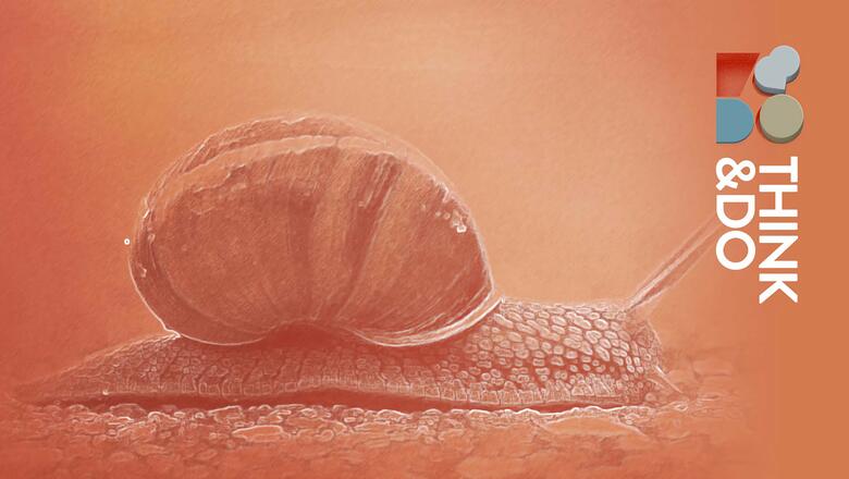 Bild von einer Schnecke