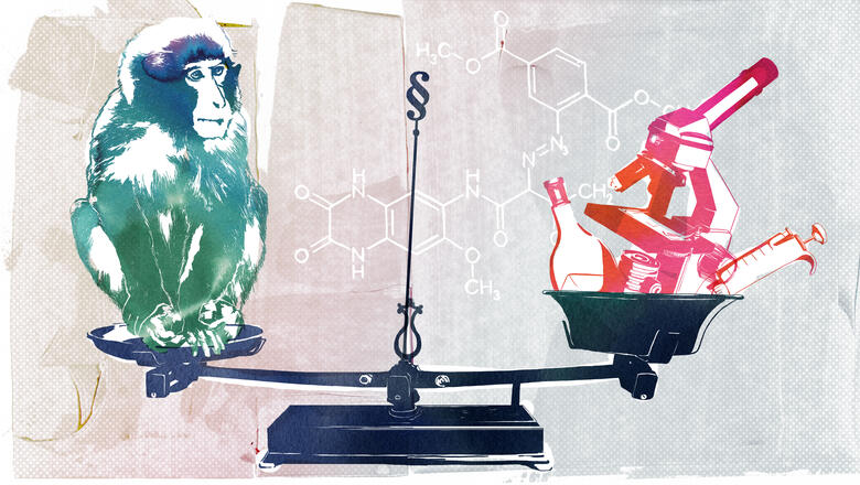 Illustration: Irene Sackmann image