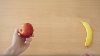 Bauch vs. Hirn (Video)