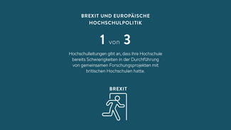 Eine von drei Hochschulleitungen gibt an, dass ihre Hochschule bereits Schwierigkeiten in der Durchführung von gemeinsamen Forschungsprojekten mit britischen Hochschulen hatte (Grafik)