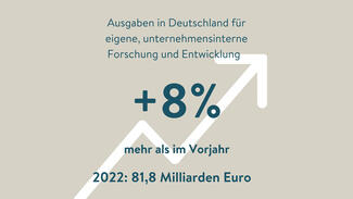 Plus 8 Prozent mehr Ausgaben für Forschung und Entwicklung (Grafik)