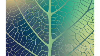 Beispielseiten aus dem DSZ-Jahresbericht 2023/2024