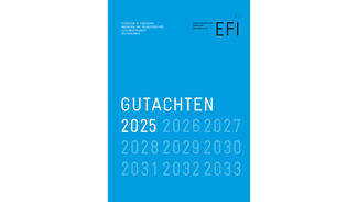 EFI-Jahresgutachten 2025 (Cover) EFI-Jahresgutachten 2025 (Cover)