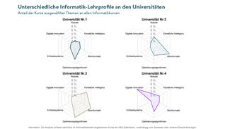 Unterschiedliche Informatik-Lehrprofile an den Universitäten (Grafik)