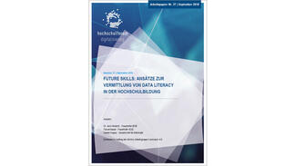 Ansätze zur Vermittlung von Data Literacy in der Hochschulbildung (Cover)