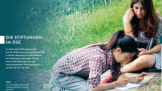 DSZ-Jahresbericht 2016 (Beispielseiten)