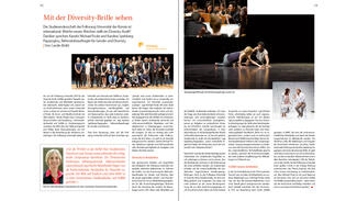 duz-Special Diversity-Audit