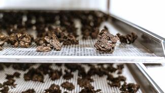 Naturkautschuk aus Russischem Löwenzahn