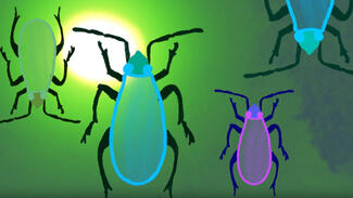 Fast Forward Science: Gewinner-Video im Superfast-Wettbewerb 2018