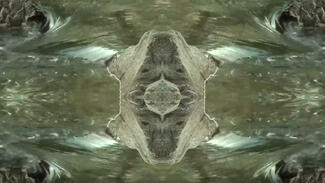 Fast Forward Science: Gewinner-Video im Superfast-Wettbewerb 2018