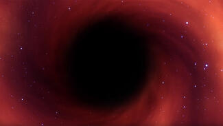 Fast Forward Science 2019 (Video)