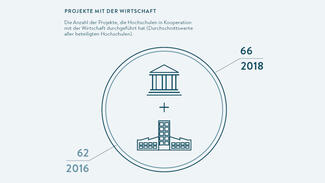 Das Projekt in Zahlen (Grafik)