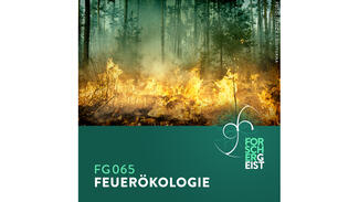 Forschergeist 065: Feuerökologie (Foto: iStock/Gilithuka)