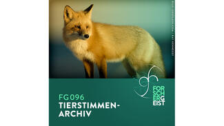 Forschergeist 096 (Cover)