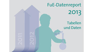 FuE-Datenreport 2013 - Tabellen (Cover)