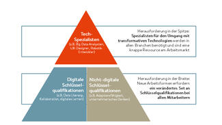 Grafik aus dem Papier "Future Skills: Welche Kompetenzen in Deutschland fehlen"