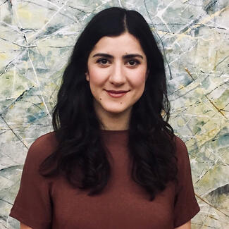 INNcentive 2018: Mariam Haydeyan