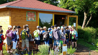 Bamberger Schulbiene (Foto: Bienen-leben-in-Bamberg.de)