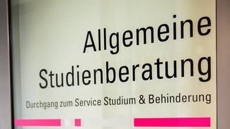 (Foto: Sandra Stein) image