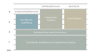Modell der studienintegrierenden Ausbildung (Grafik)