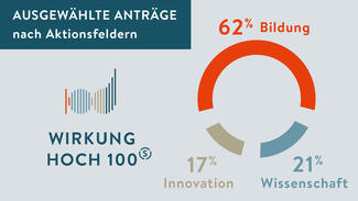 Wirkung hoch 100: Projekt nach Aktionsfeldern (Grafik)